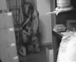 Couple torride se baise en secret