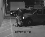 Nymphomane suce sur le parking